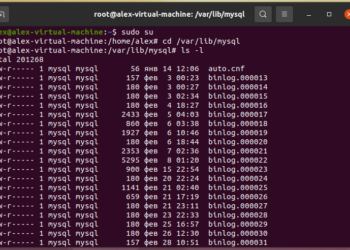 What is the location of the MySQL databases?